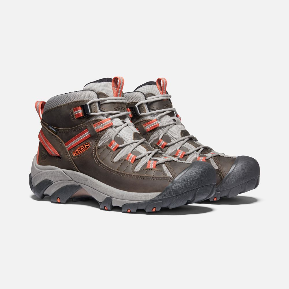 Bottes de Randonnée Keen Homme Marron | Targhee Ii Waterproof Mid | NIMBQ-8631